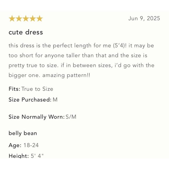 NWT Size L -Anthropologie Celandine 100% Cotton Tiered Mini Dress (NWT US$ 98) - Picture 9 of 16